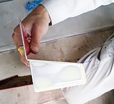 国兼技研　先輩インタビュー